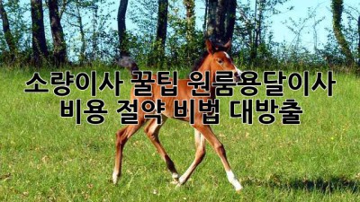 소량이사 꿀팁🍯 원룸/용달이사 비용 절약 비법 대방출! 🚚