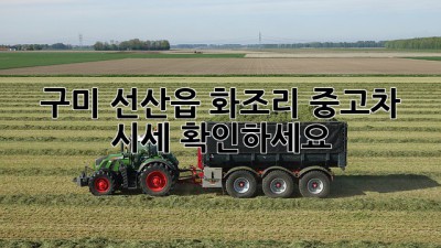 구미 선산읍 화조리 중고차 시세 확인하세요!